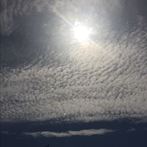 Meet your Posher, Sheila